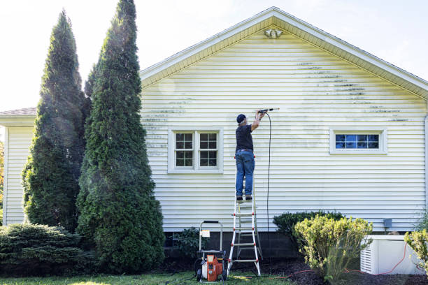 Best Roof Washing  in Metter, GA